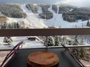 Avec balcon, au pied des pistes et randos